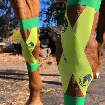 Gentle Hestaband taping for joint support, swelling relief, and extended bodywork benefits.