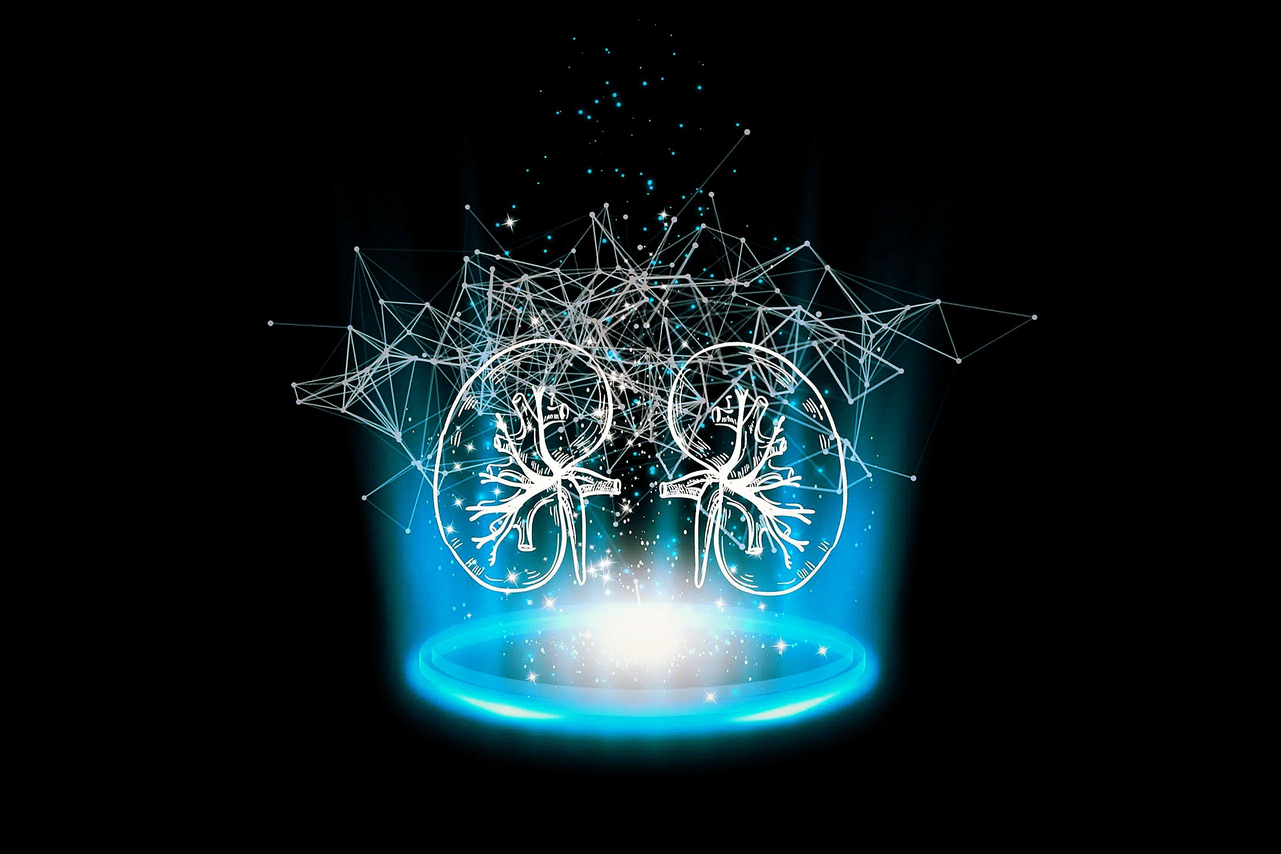 AI powered technologies for managing and monitoring kidney health