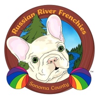Russian River Frenchies