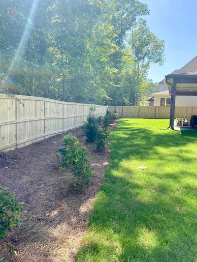 Sunny backyard with fresh grass, young plants, and a wooden fence.