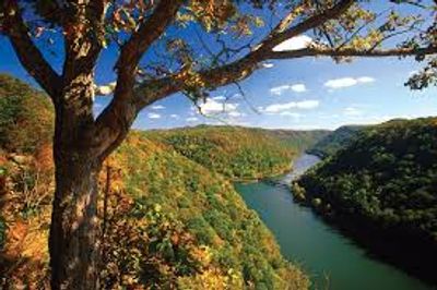 New River Gorge National Park and Preserve 