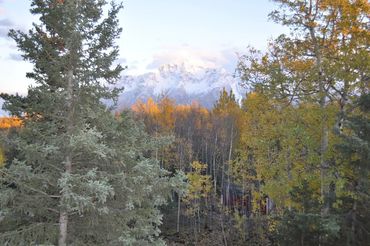 A beautiful view of tall trees and mountains