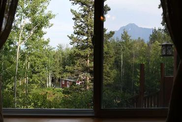 A spectacular view of trees and a house from a window