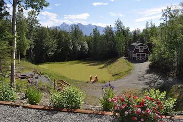 a small house surrounded by trees