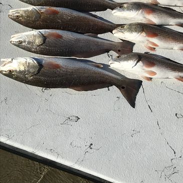 South texas fishing guides