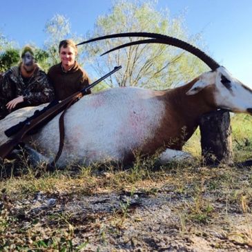 Two hunters with their large hunted antelope and rifle.