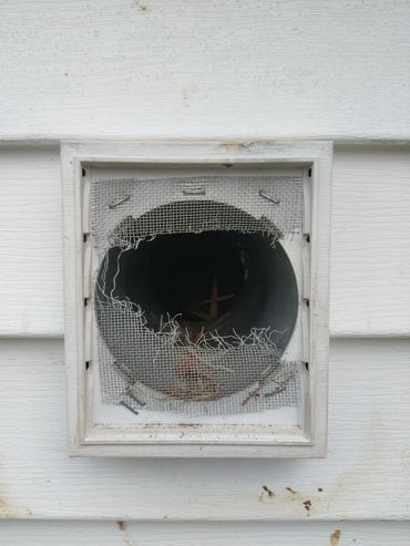 Critters in vents. We do repairs.