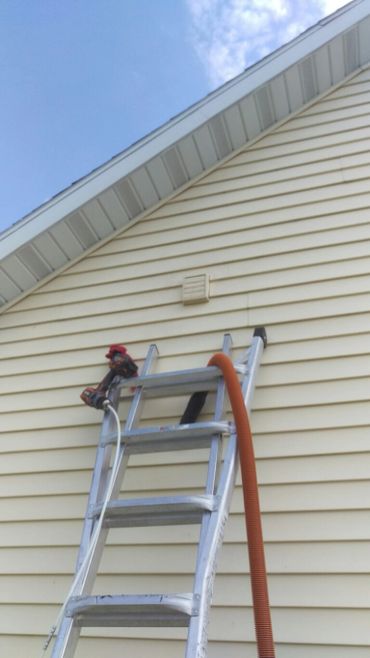 Bird best removal and repair.