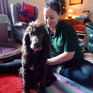 Woman sitting on the floor with a brown dog in a cozy living room.