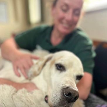 A woman lovingly cuddles a relaxed white dog.