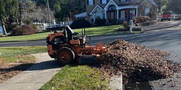 Lawn service near me