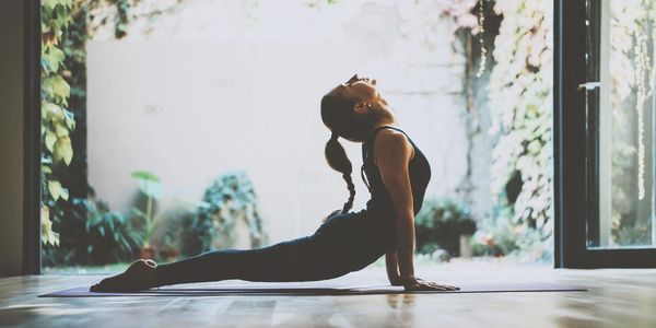 Portrait of gorgeous young woman practicing yoga indoor. Beautiful girl practice cobra asana in clas