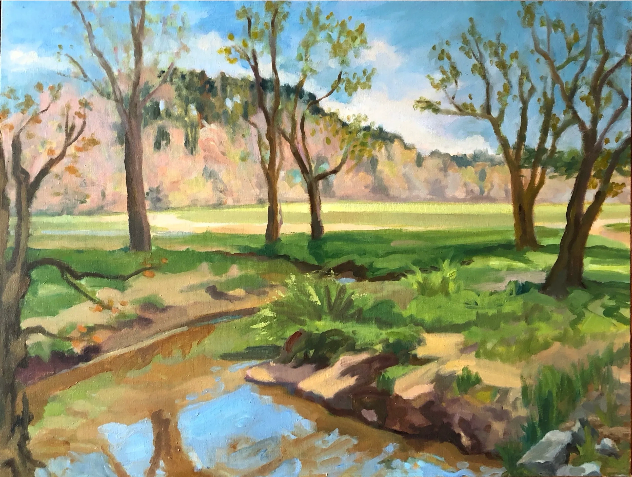 Biltmore stream,Spring - oil on canvas 20"x 26"$300 SOLD