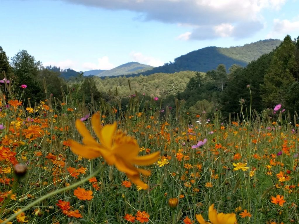 A long shot of the green mountains and the clear sky