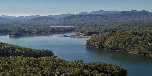 A long shot of the lake and the forest