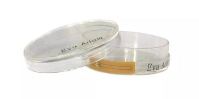 Petri dishes identification with RFID labels