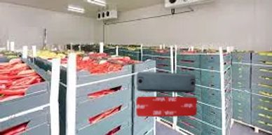 Cold storage and products manaagement