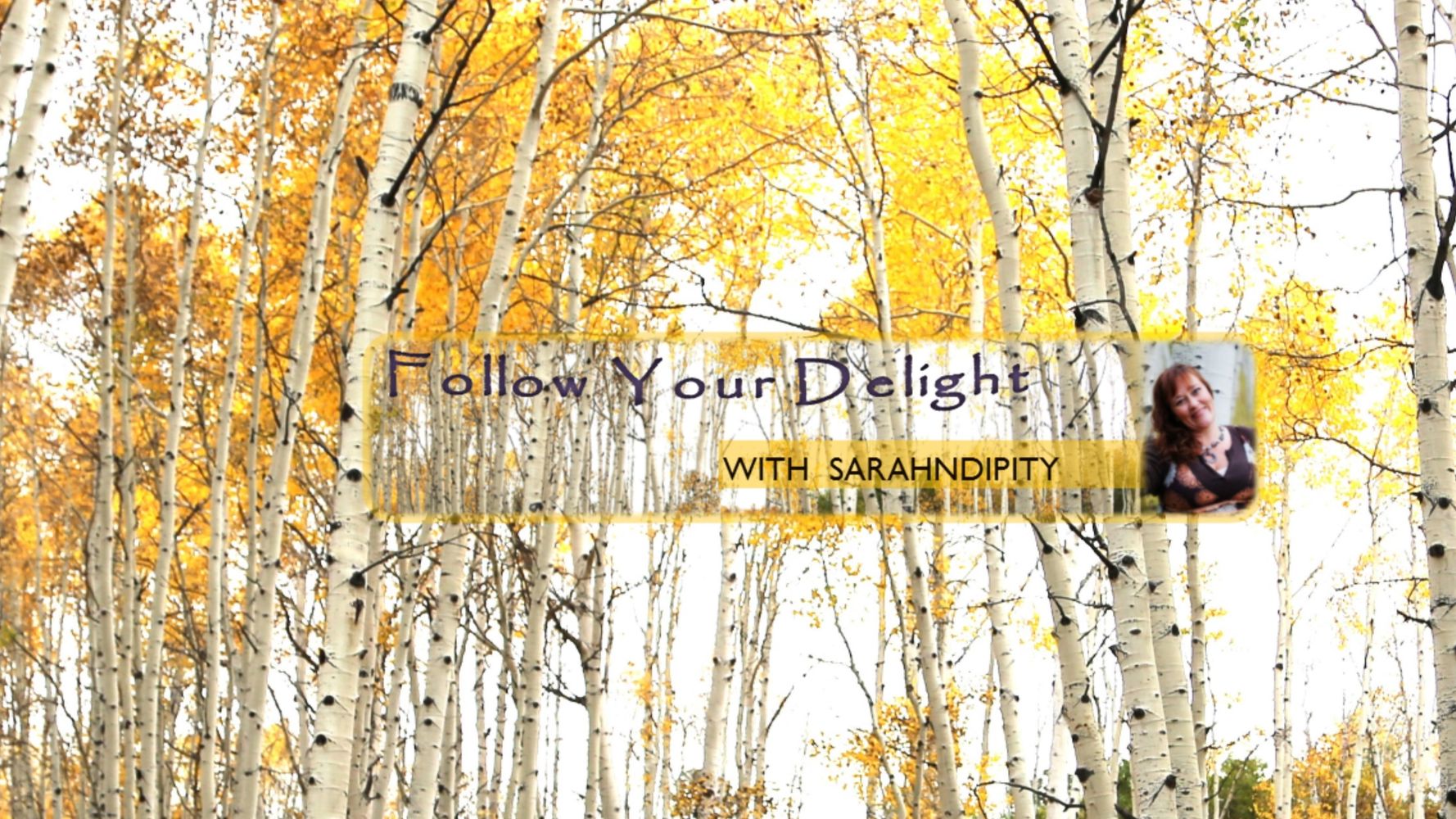 Follow Your Delight with Sarahndipity Johnsen, M.Ed.