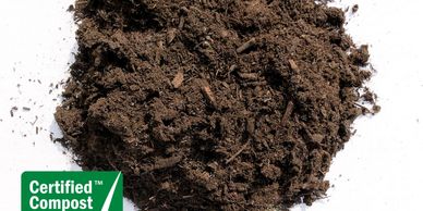 Compost It ALL!