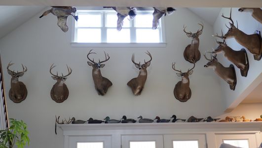 a gathering of the bucks that I have been fortunate enough to harvest over the last 25 years