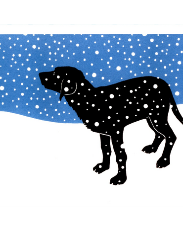 Sea Dog in Snow by Leslie Evans of Sea Dog Press