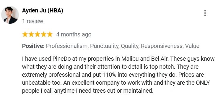Tree Trimming Services