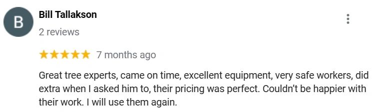 Tree Trimming and Pruning Services