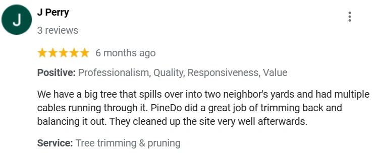 Tree Trimming and Pruning Services