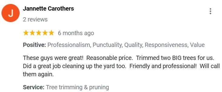 Tree Trimming and Pruning Services