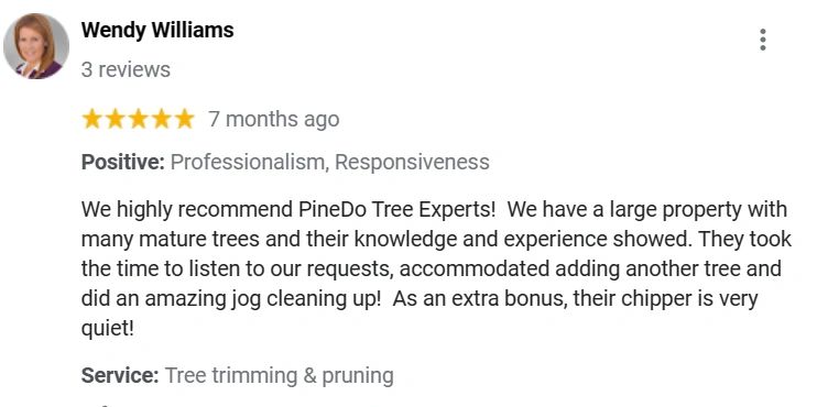 Tree Trimming and Pruning Services