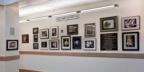 Members' Exhibit Wall -- Town of Esopus Town Hall