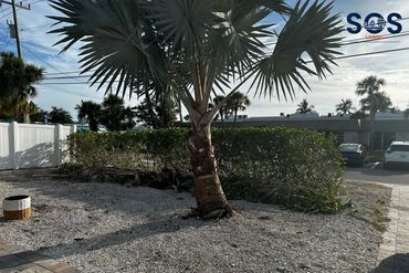 Sherk Outdoor Services provides lawn and property services to Sarasota, Bradenton, Lakewood Ranch