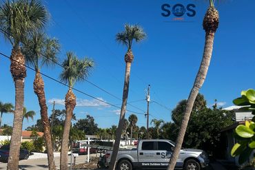 Sherk Outdoor Services provides lawn and property services to Sarasota, Bradenton, Lakewood Ranch