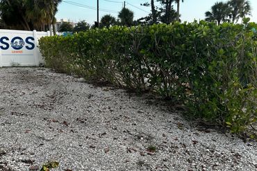 Sherk Outdoor Services provides lawn and property services to Sarasota, Bradenton, Lakewood Ranch