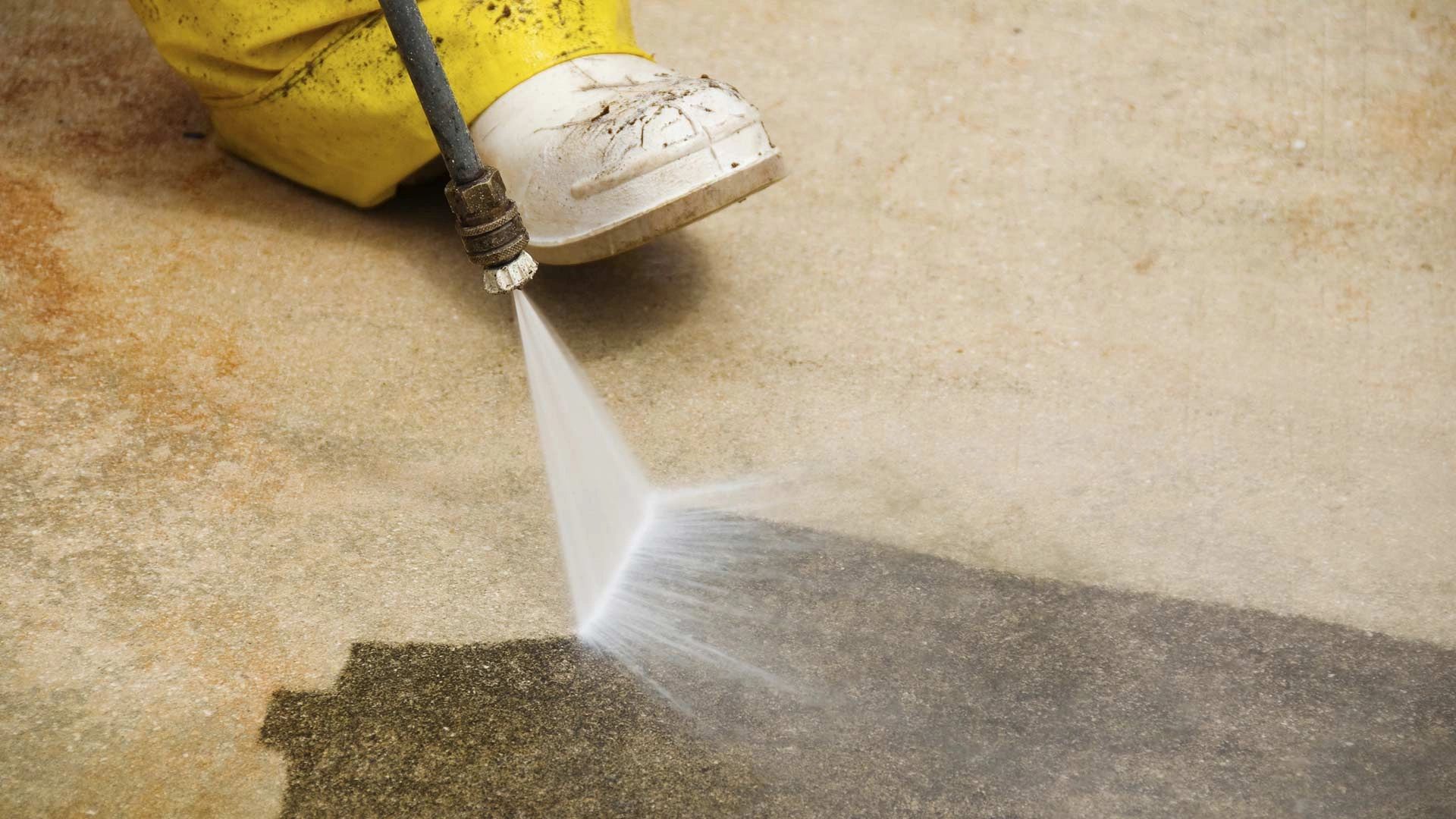 expert team employs cutting-edge techniques and eco-friendly products