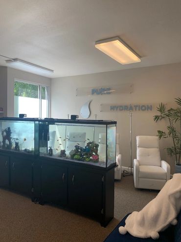 Inside Pure Hydration Chico viewing the comfy chairs and fish tanks.