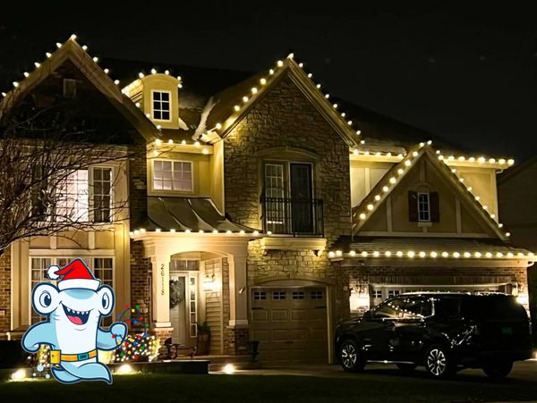 House decorated with warm white Christmas lights at night and a festive cartoon shark.