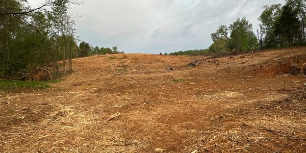 The owner of this land was amazed and very pleased after it was mulched!