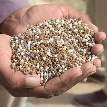 Urea
We supply premium-grade urea for agricultural and industrial applications.