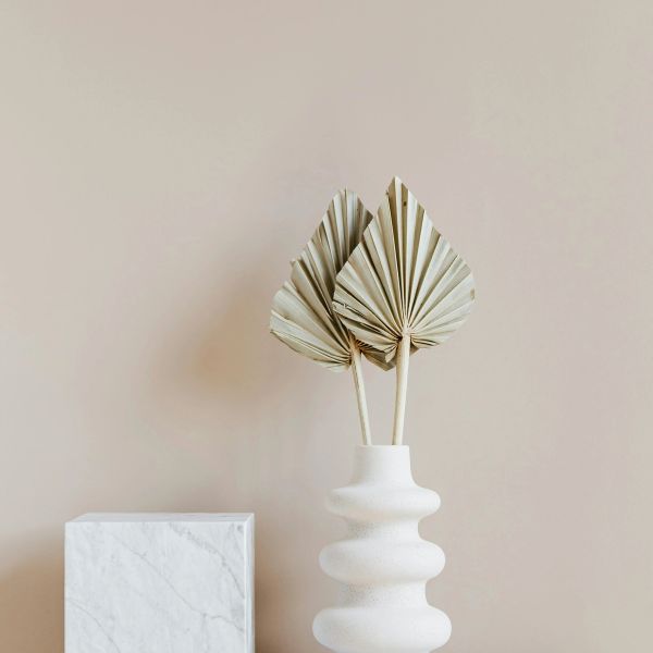 Minimalist white vase with two dried palm leaves against a beige wall.