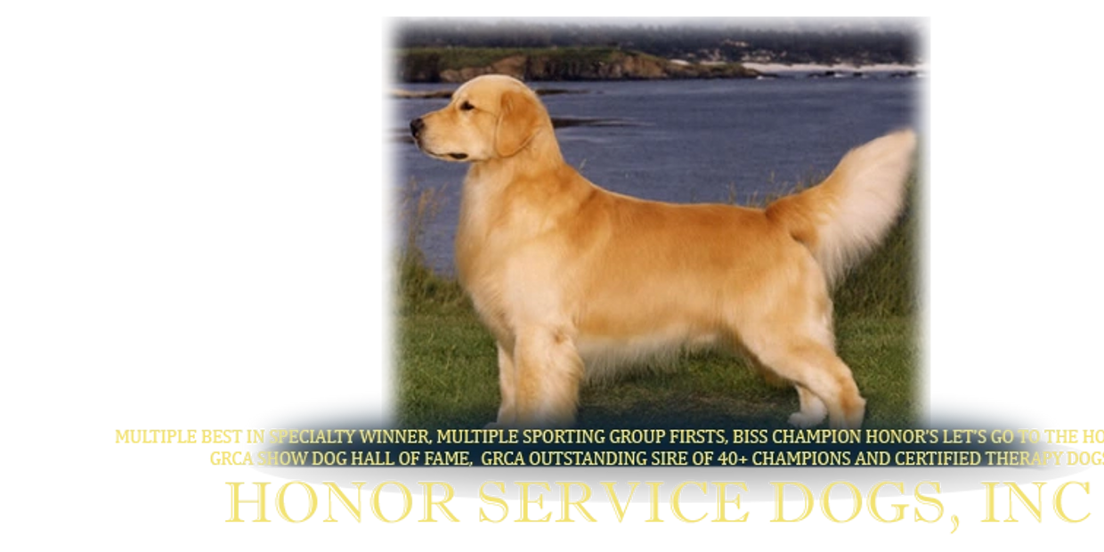 Honor english goldens therapy dogs service dogs Charlotte NC
