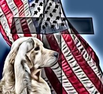 Golden retrievers, Honor goldens, Liberty, President Ford, service dogs, English goldens, puppies
