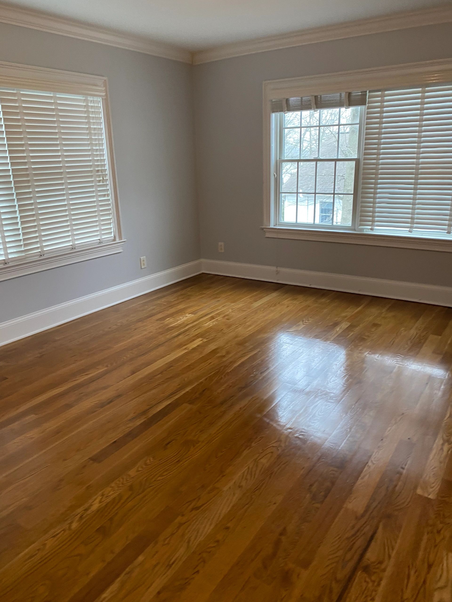 Move in/out cleaning