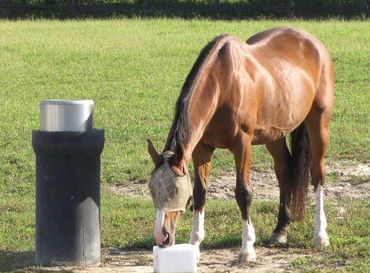Nelson® Automatic Waterer with Heater