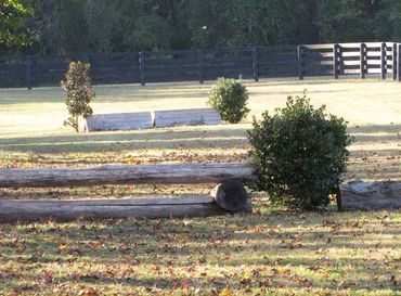 Natural Jumps Throughout