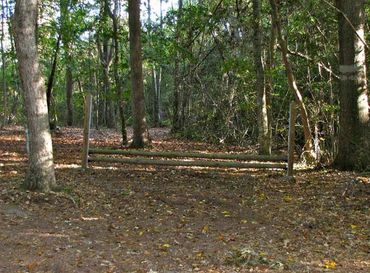 Natural Jumps Throughout