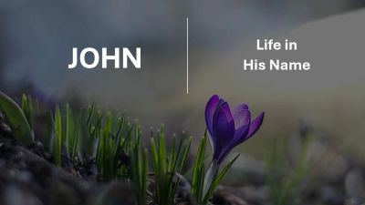 Purple flower blooming with text 'JOHN | Life in His Name' against blurred background.