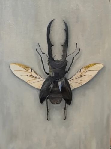 Detailed painting of a stag beetle with spread wings on a gray background.