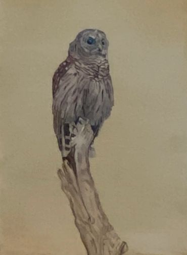 A painting of an owl perched on a branch against a plain background.