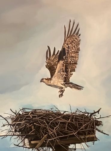 An osprey takes flight from its large nest on a wooden platform.